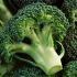 Metode de cultivare la broccoli